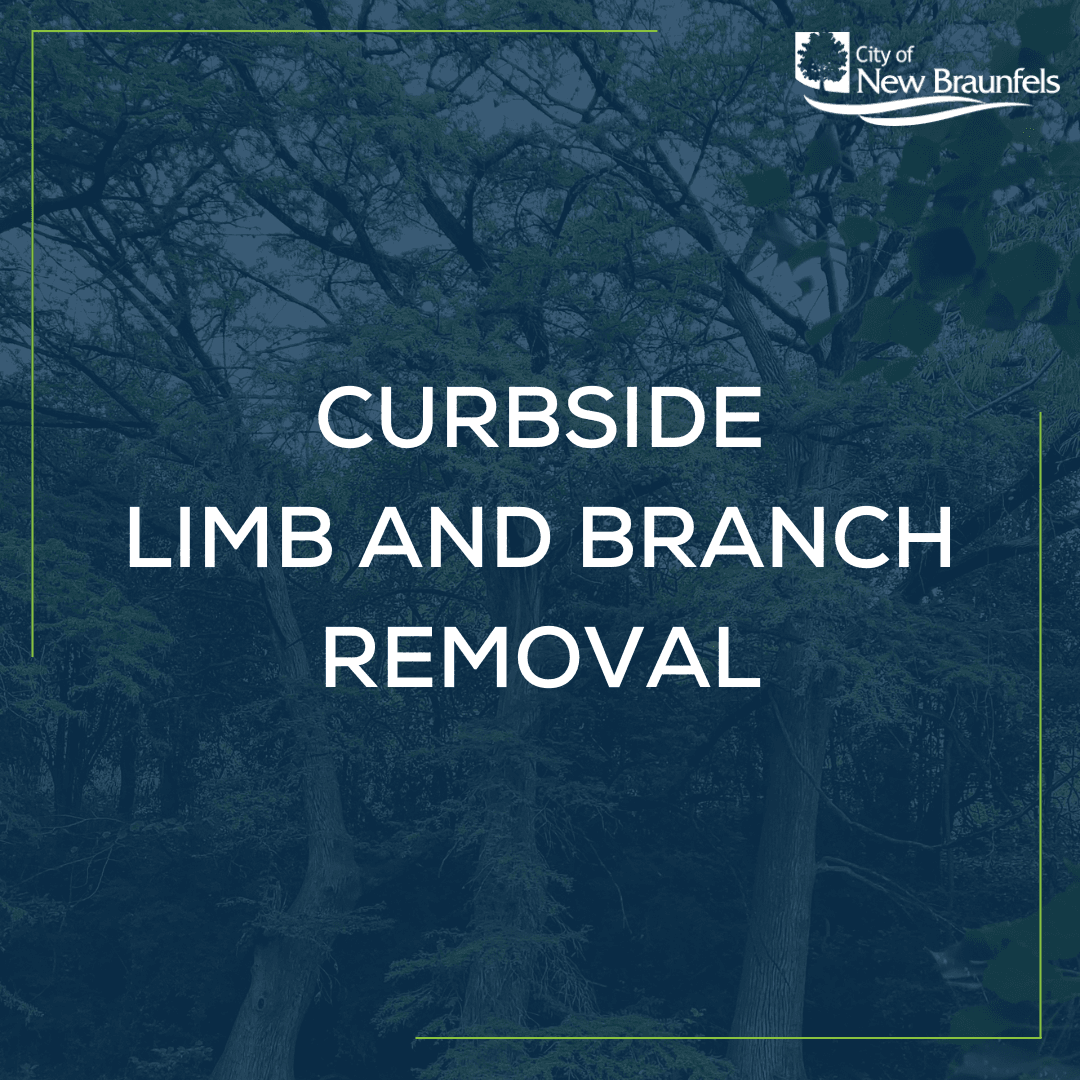 Tree Branch Removal Service Square