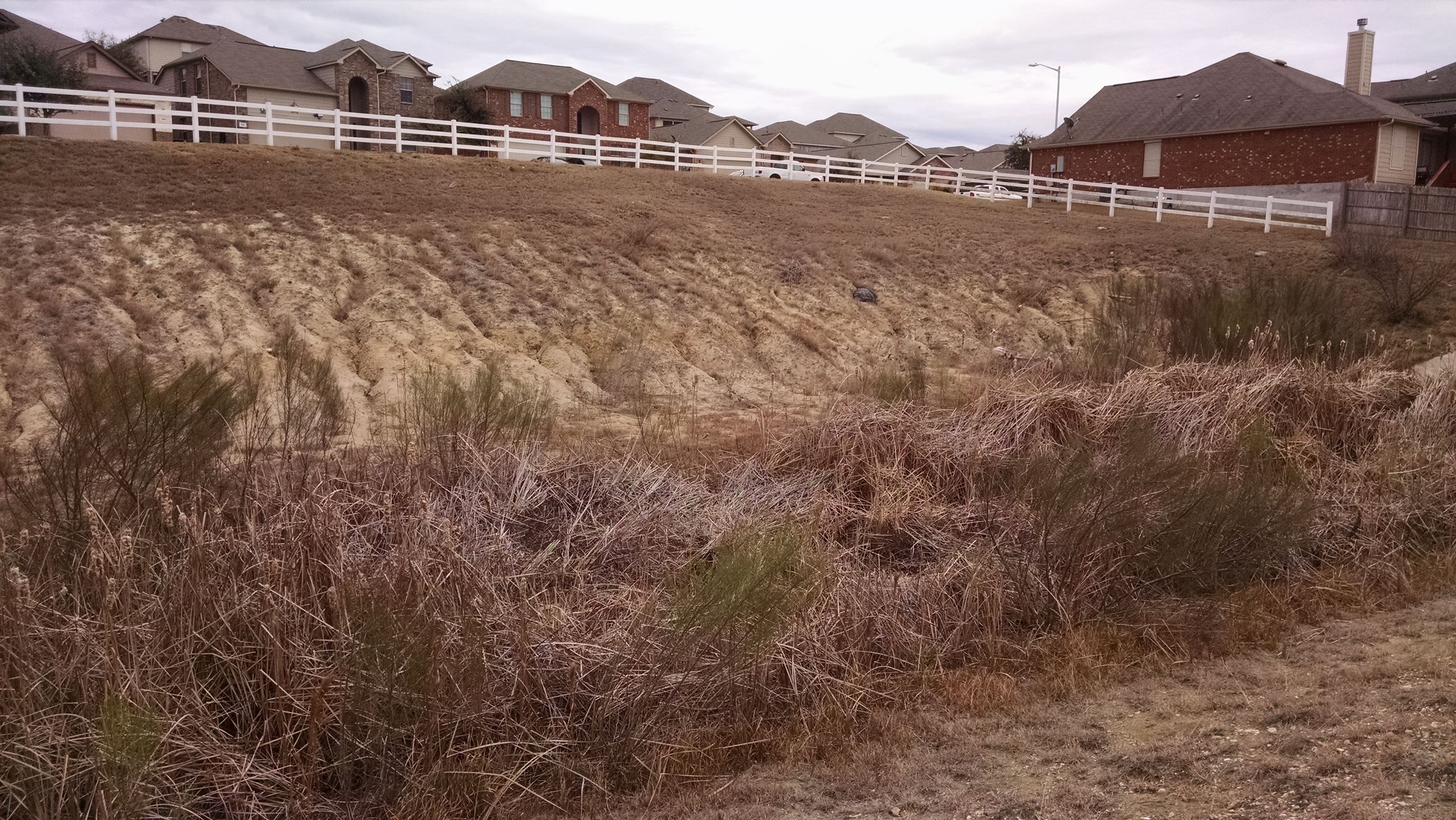 Erosion and overgrown vegetation