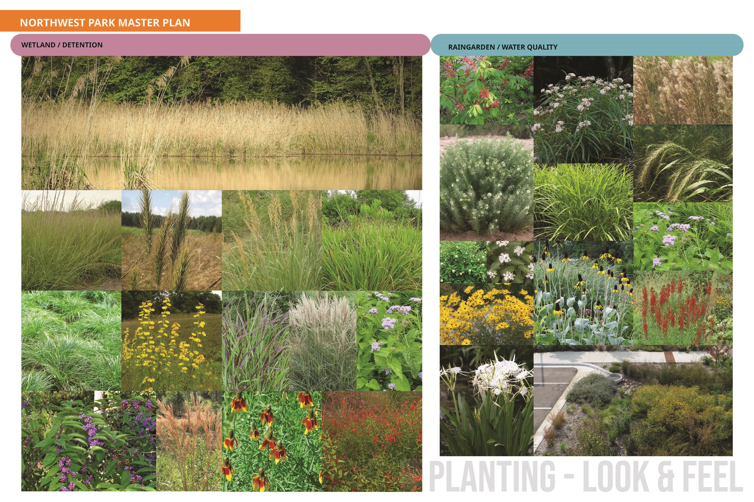 Understanding our Site 2