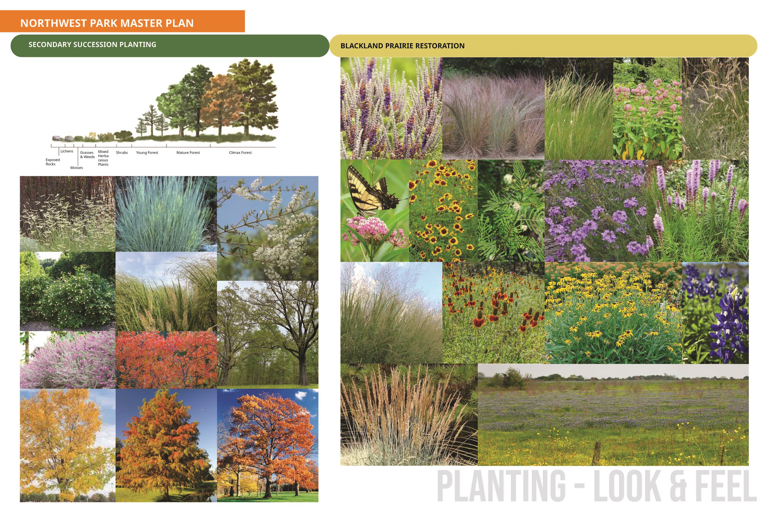 Planting Look and Feel 2